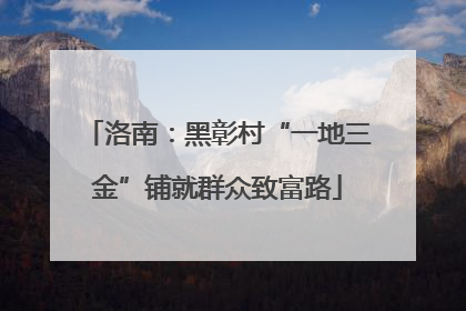 洛南：黑彰村“一地三金”铺就群众致富路