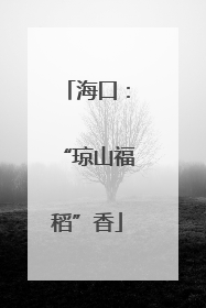 海口：“琼山福稻”香