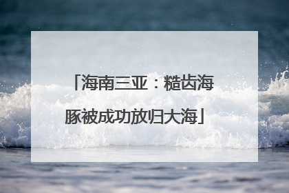 海南三亚：糙齿海豚被成功放归大海