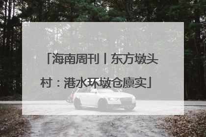 海南周刊丨东方墩头村：港水环墩仓廪实