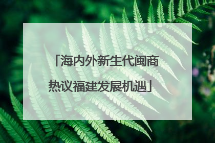 海内外新生代闽商热议福建发展机遇