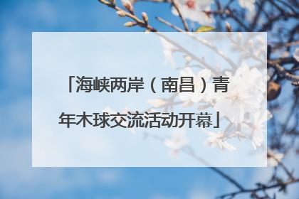 海峡两岸（南昌）青年木球交流活动开幕