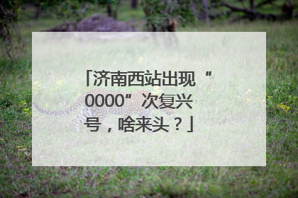济南西站出现“0000”次复兴号，啥来头？