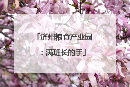 济州粮食产业园：满班长的手
