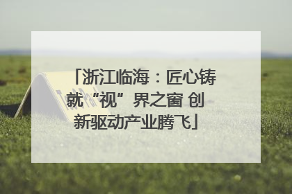 浙江临海：匠心铸就“视”界之窗 创新驱动产业腾飞