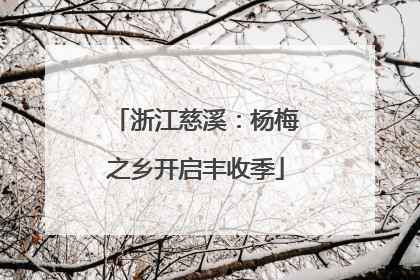 浙江慈溪：杨梅之乡开启丰收季