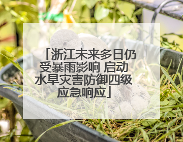 浙江未来多日仍受暴雨影响 启动水旱灾害防御四级应急响应