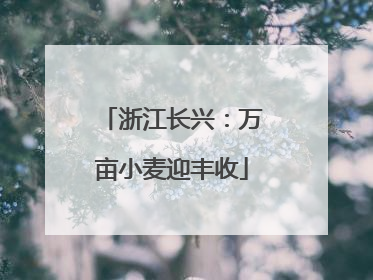 浙江长兴：万亩小麦迎丰收