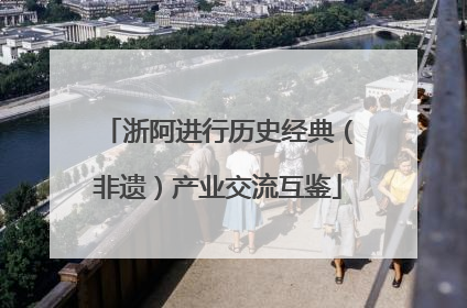 浙阿进行历史经典（非遗）产业交流互鉴