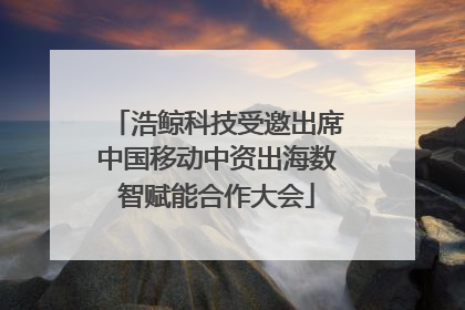 浩鲸科技受邀出席中国移动中资出海数智赋能合作大会