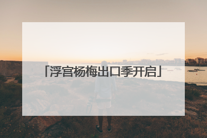 浮宫杨梅出口季开启