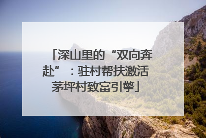 深山里的“双向奔赴”：驻村帮扶激活茅坪村致富引擎