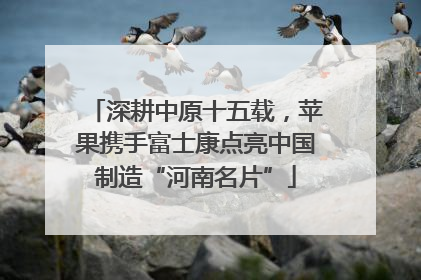 深耕中原十五载，苹果携手富士康点亮中国制造“河南名片”