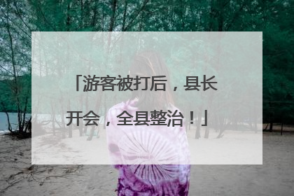 游客被打后，县长开会，全县整治！