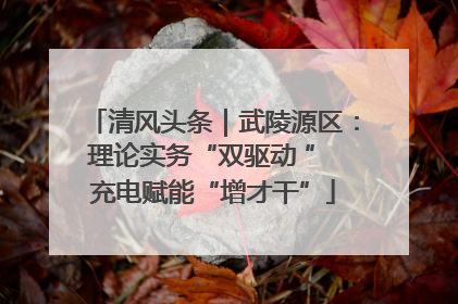 清风头条｜武陵源区：理论实务“双驱动 ” 充电赋能“增才干”