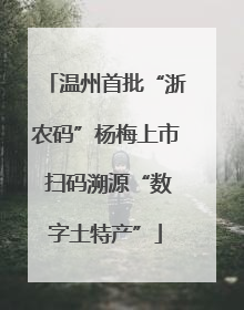 温州首批“浙农码”杨梅上市 扫码溯源“数字土特产”
