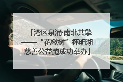湾区泉涌·南北共擎——“花楸树”杯明湖慈善公益跑成功举办
