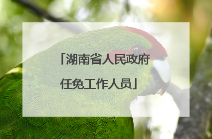 湖南省人民政府任免工作人员
