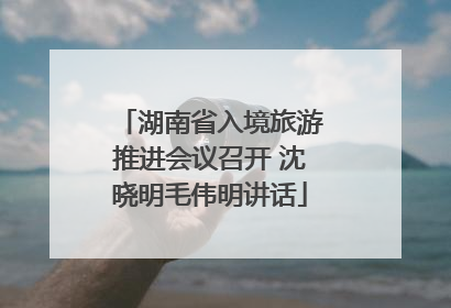 湖南省入境旅游推进会议召开 沈晓明毛伟明讲话