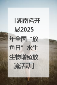 湖南省开展2025年全国“放鱼日”水生生物增殖放流活动
