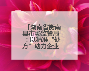 湖南省衡南县市场监管局：以精准“处方”助力企业高质量发展
