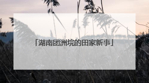 湖南团洲垸的田家新事