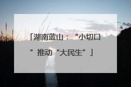 湖南蓝山：“小切口”推动“大民生”