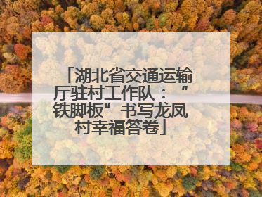 湖北省交通运输厅驻村工作队：“铁脚板”书写龙凤村幸福答卷