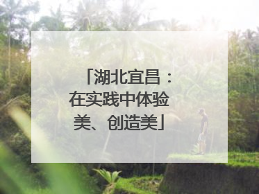 湖北宜昌：在实践中体验美、创造美