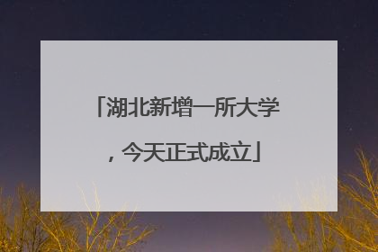 湖北新增一所大学，今天正式成立
