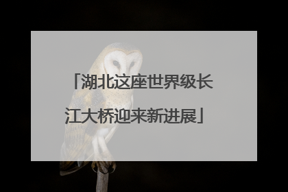 湖北这座世界级长江大桥迎来新进展