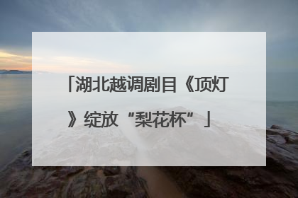 湖北越调剧目《顶灯》绽放“梨花杯”