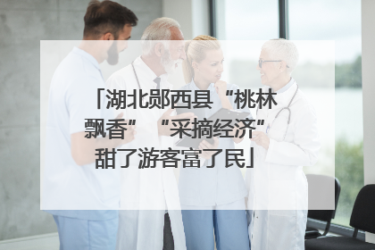 湖北郧西县“桃林飘香”“采摘经济”甜了游客富了民