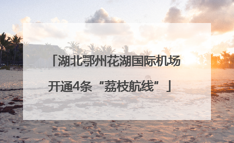 湖北鄂州花湖国际机场开通4条“荔枝航线”