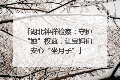 湖北钟祥检察：守护“她”权益，让宝妈们安心“坐月子”