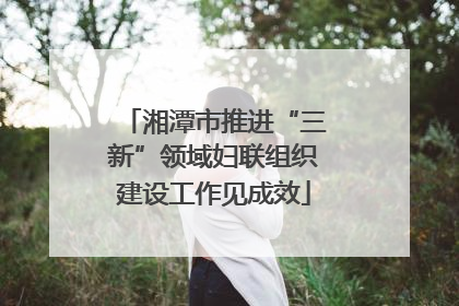 湘潭市推进“三新”领域妇联组织建设工作见成效