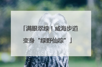 满眼翠绿！威海步道变身“绿野仙踪”