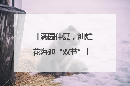 满园仲夏，灿烂花海迎“双节”