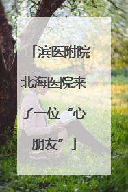 滨医附院北海医院来了一位“心朋友”