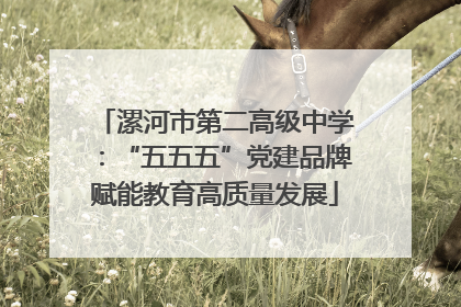 漯河市第二高级中学：“五五五”党建品牌赋能教育高质量发展