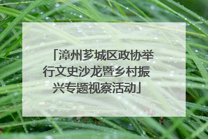 漳州芗城区政协举行文史沙龙暨乡村振兴专题视察活动