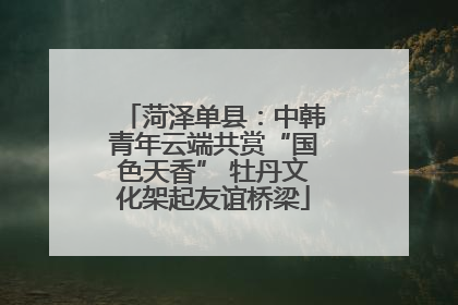 菏泽单县：中韩青年云端共赏“国色天香” 牡丹文化架起友谊桥梁