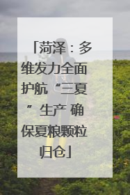 菏泽：多维发力全面护航“三夏”生产 确保夏粮颗粒归仓