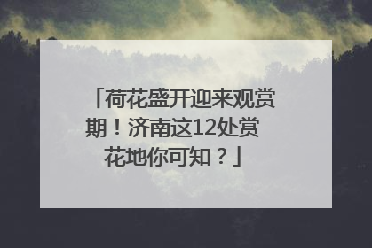 荷花盛开迎来观赏期！济南这12处赏花地你可知？