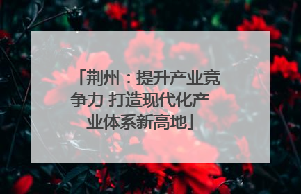 荆州：提升产业竞争力 打造现代化产业体系新高地