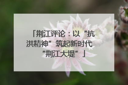荆江评论：以“抗洪精神”筑起新时代“荆江大堤”