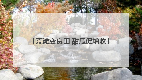 荒滩变良田 甜瓜促增收