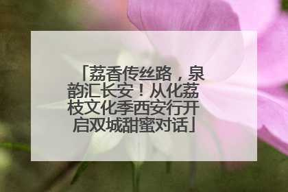 荔香传丝路，泉韵汇长安！从化荔枝文化季西安行开启双城甜蜜对话