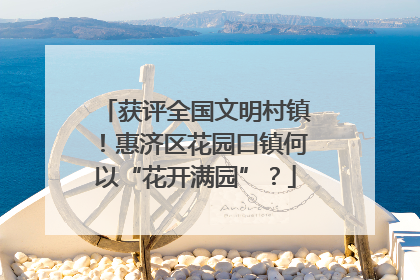 获评全国文明村镇！惠济区花园口镇何以“花开满园”？