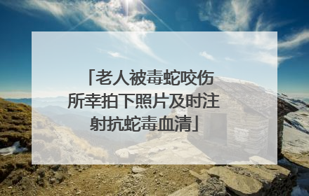 老人被毒蛇咬伤 所幸拍下照片及时注射抗蛇毒血清